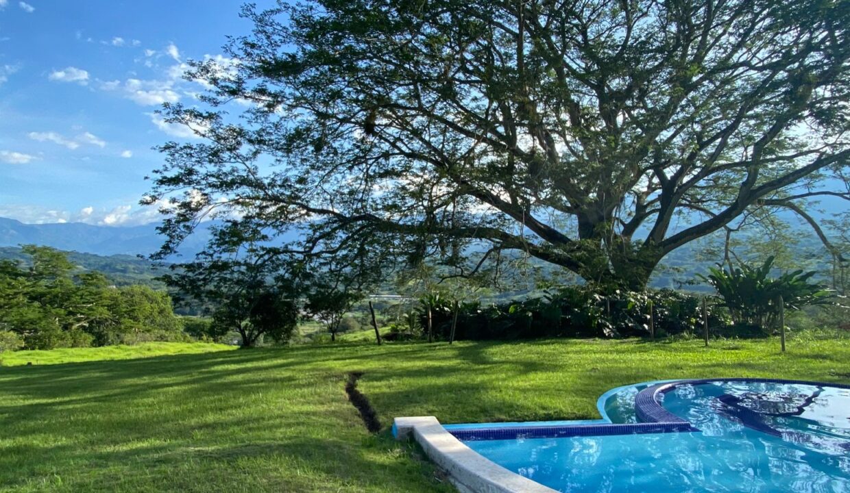 WhatsApp Image 2024-10-03 at 14.24.30 (1)