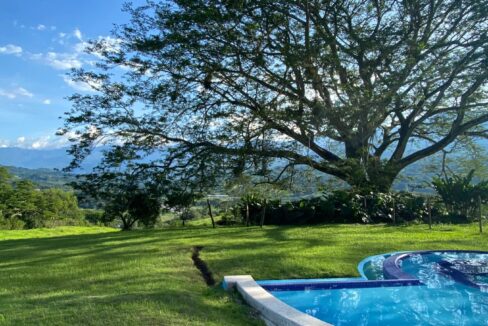 WhatsApp Image 2024-10-03 at 14.24.30 (1)