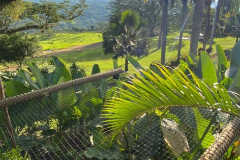 WhatsApp Image 2024-10-03 at 14.24.30 (2)