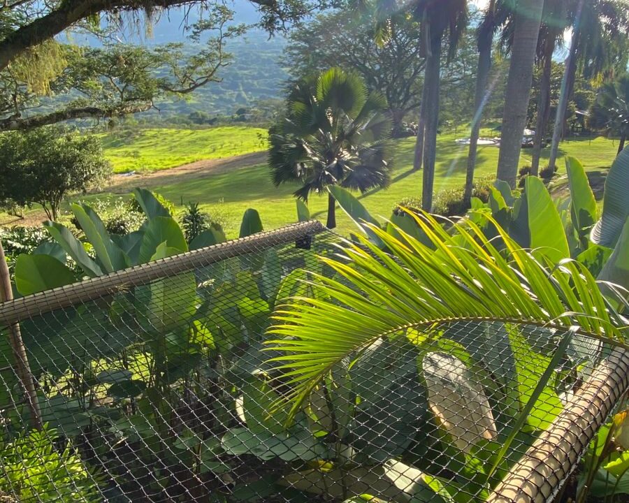 WhatsApp Image 2024-10-03 at 14.24.30 (2)