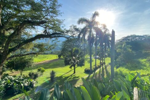 WhatsApp Image 2024-10-03 at 14.24.30