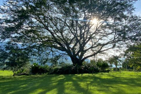 WhatsApp Image 2024-10-03 at 14.24.33