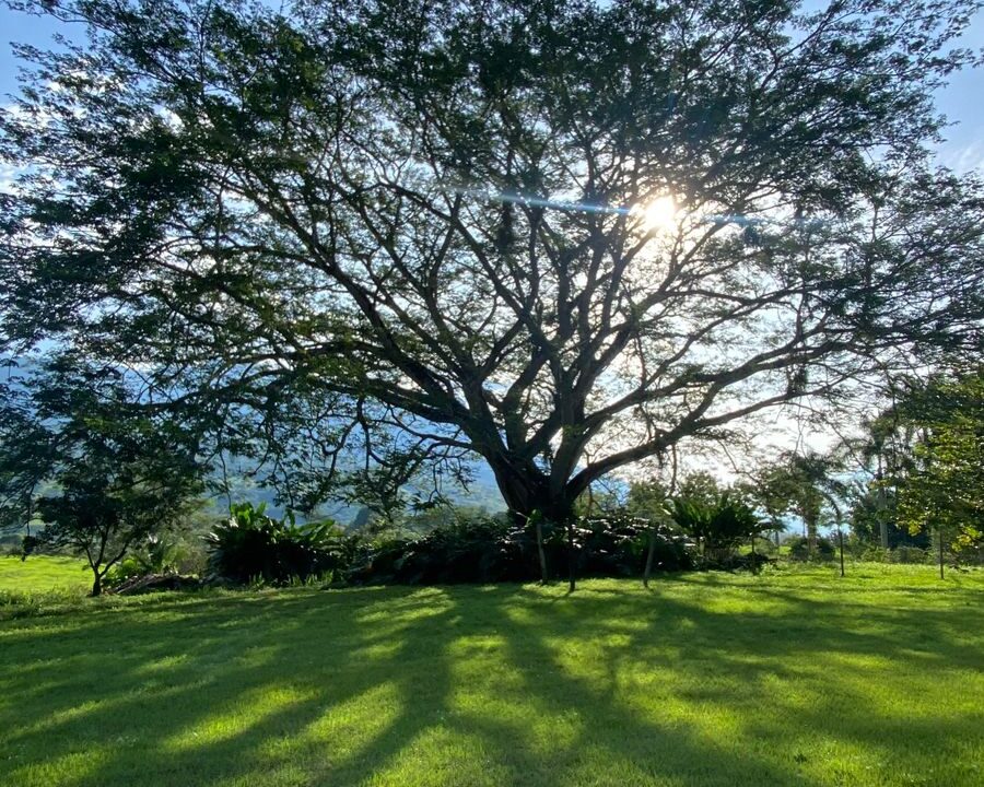 WhatsApp Image 2024-10-03 at 14.24.33