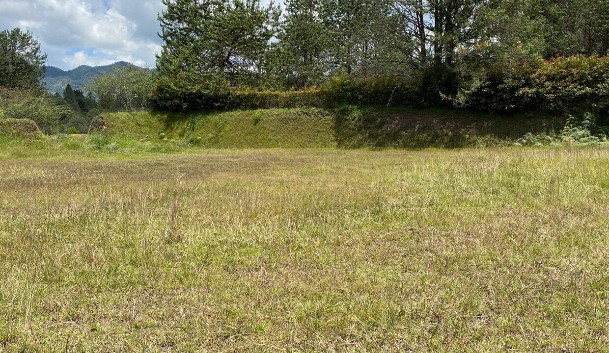 WhatsApp Image 2024-10-03 at 14.37.56 (1)