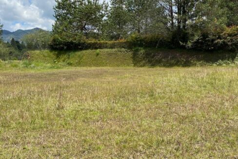 WhatsApp Image 2024-10-03 at 14.37.56 (1)