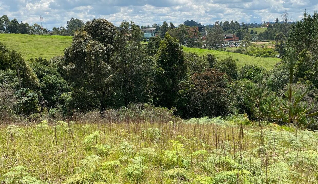 WhatsApp Image 2024-10-03 at 14.37.56