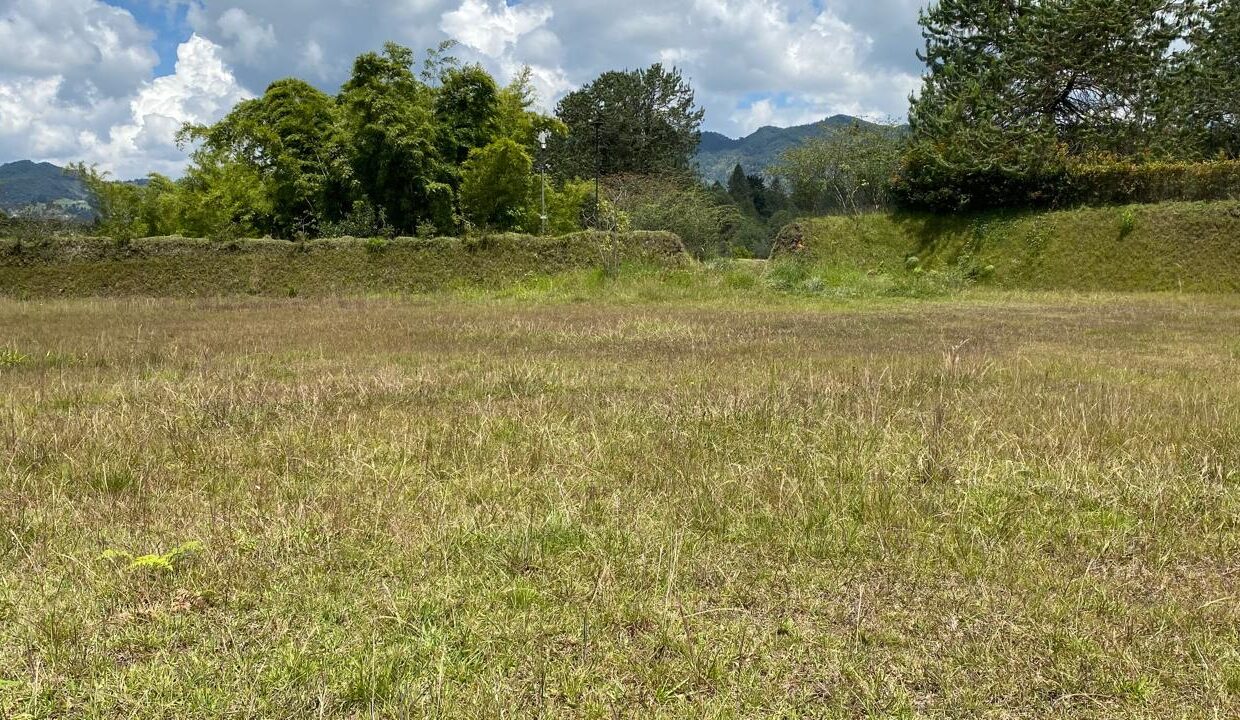 WhatsApp Image 2024-10-03 at 14.37.56 (2)