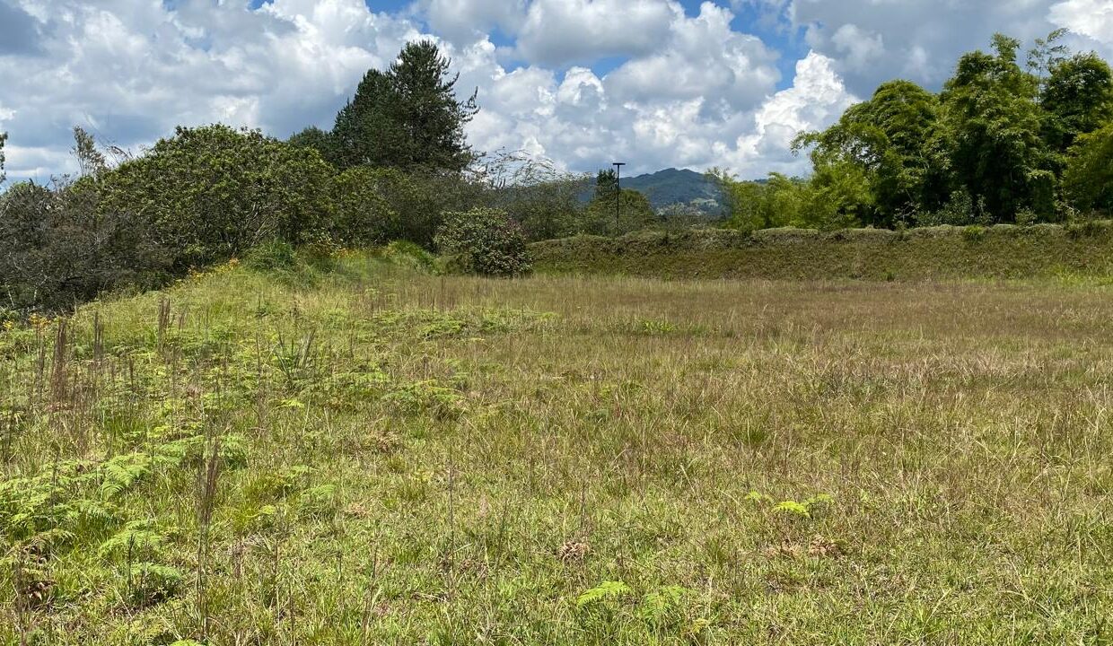 WhatsApp Image 2024-10-03 at 14.37.56 (3)