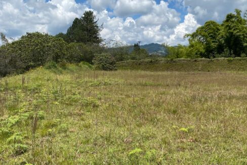 WhatsApp Image 2024-10-03 at 14.37.56 (3)