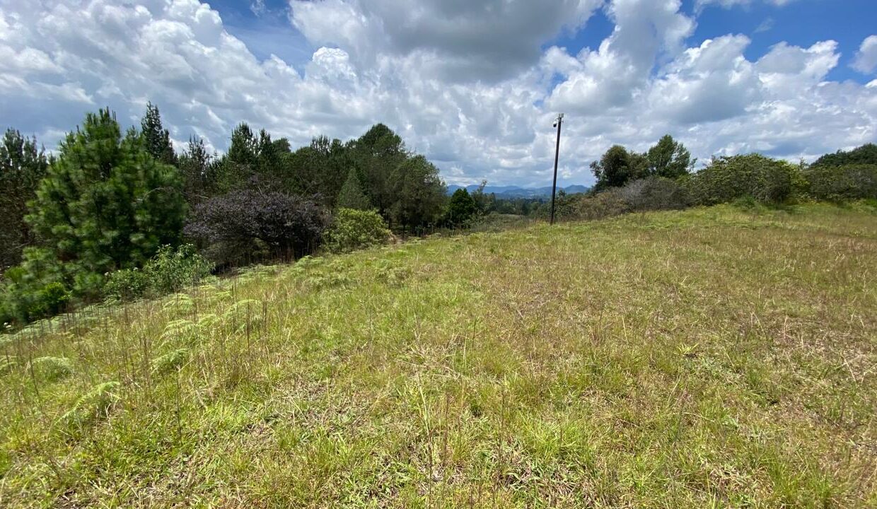 WhatsApp Image 2024-10-03 at 14.37.56 (4)