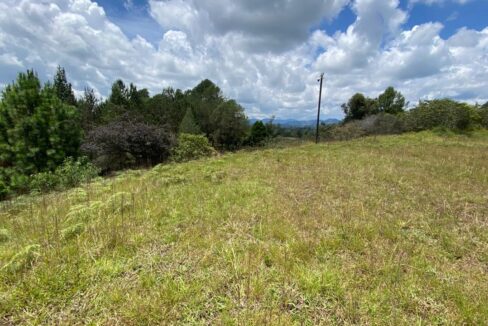 WhatsApp Image 2024-10-03 at 14.37.56 (4)