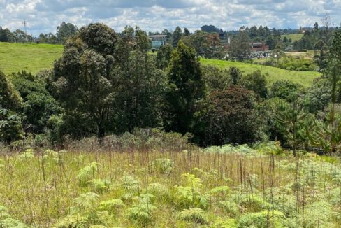 WhatsApp Image 2024-10-03 at 14.37.56