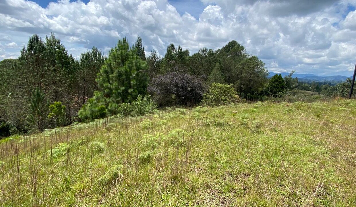 WhatsApp Image 2024-10-03 at 14.37.56 (5)