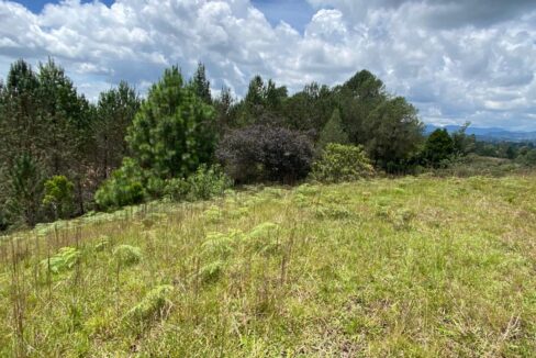 WhatsApp Image 2024-10-03 at 14.37.56 (5)