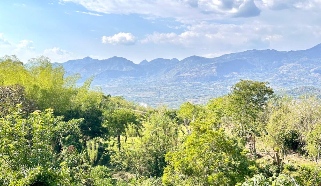 WhatsApp Image 2024-10-16 at 11.54.10 (1)