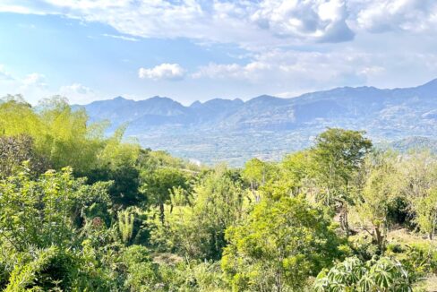 WhatsApp Image 2024-10-16 at 11.54.10 (1)