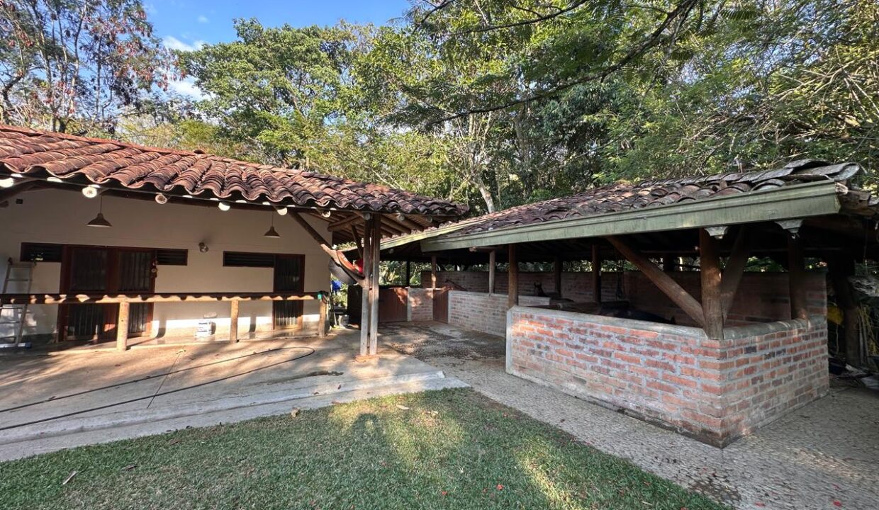 WhatsApp Image 2024-10-16 at 11.54.11 (5)