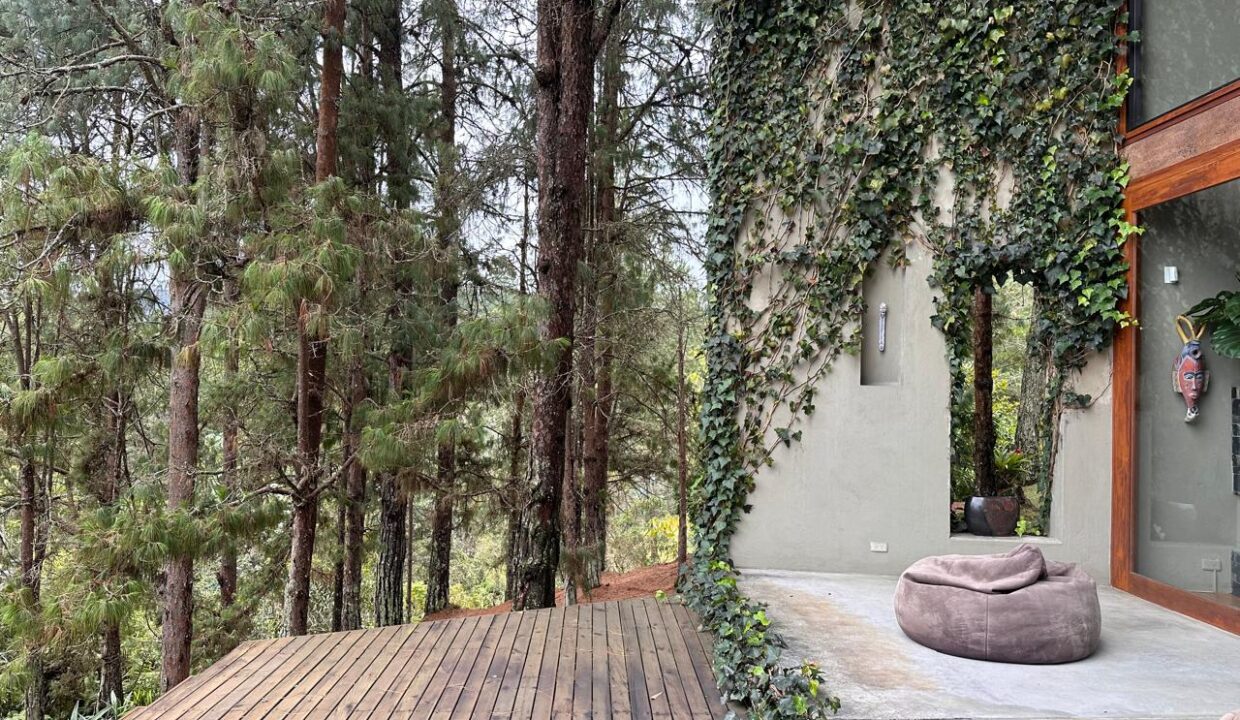 WhatsApp Image 2024-10-16 at 12.12.26 (11)