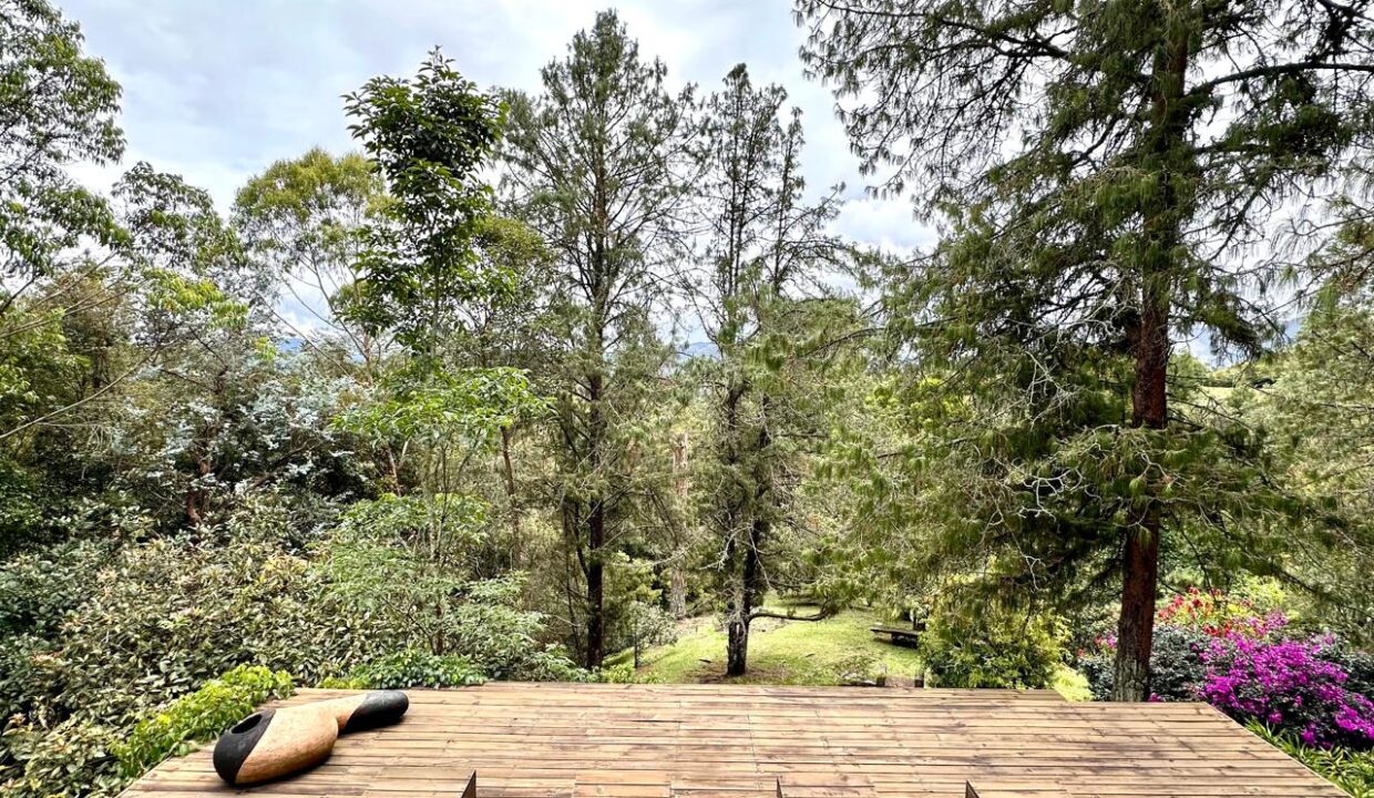 WhatsApp Image 2024-10-16 at 12.12.26 (12)