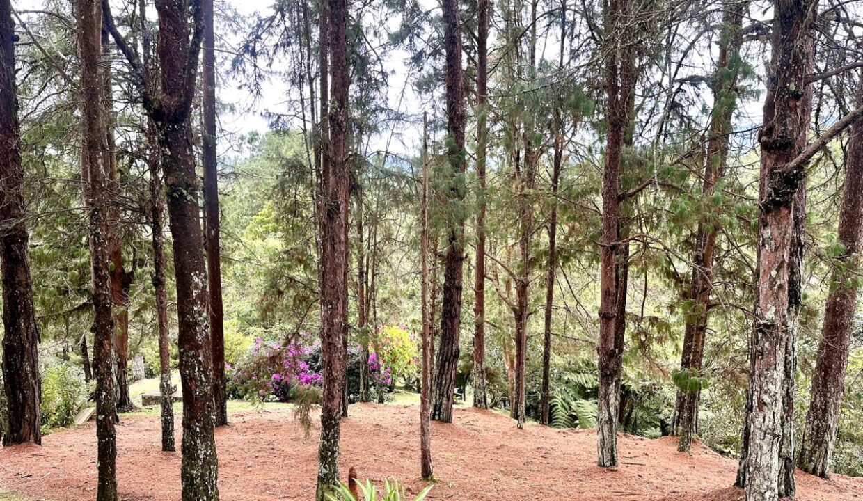 WhatsApp Image 2024-10-16 at 12.12.26 (16)