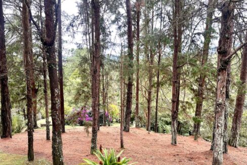 WhatsApp Image 2024-10-16 at 12.12.26 (16)