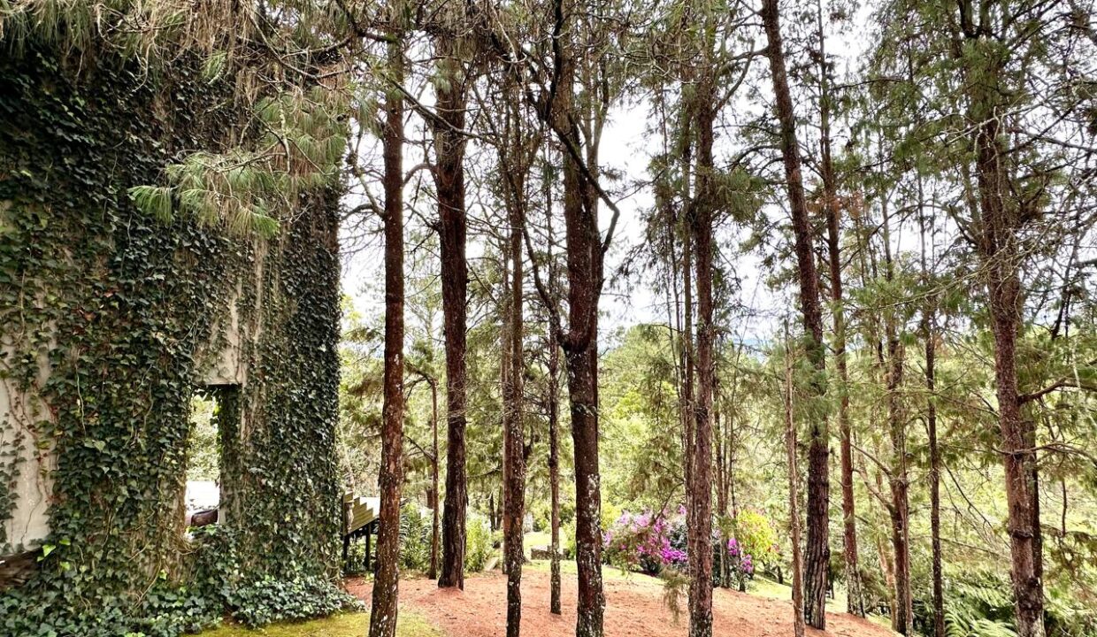 WhatsApp Image 2024-10-16 at 12.12.26 (17)