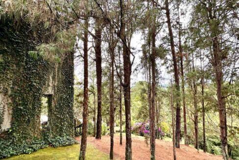 WhatsApp Image 2024-10-16 at 12.12.26 (17)