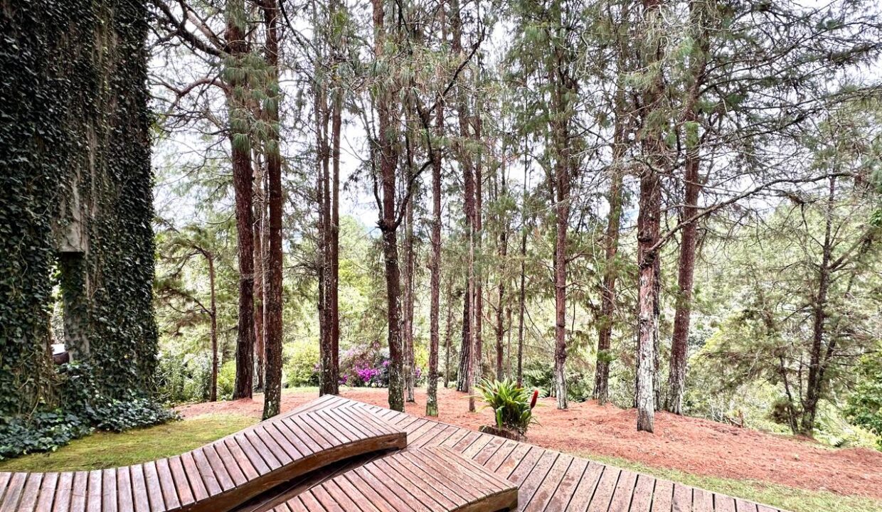 WhatsApp Image 2024-10-16 at 12.12.26 (5)