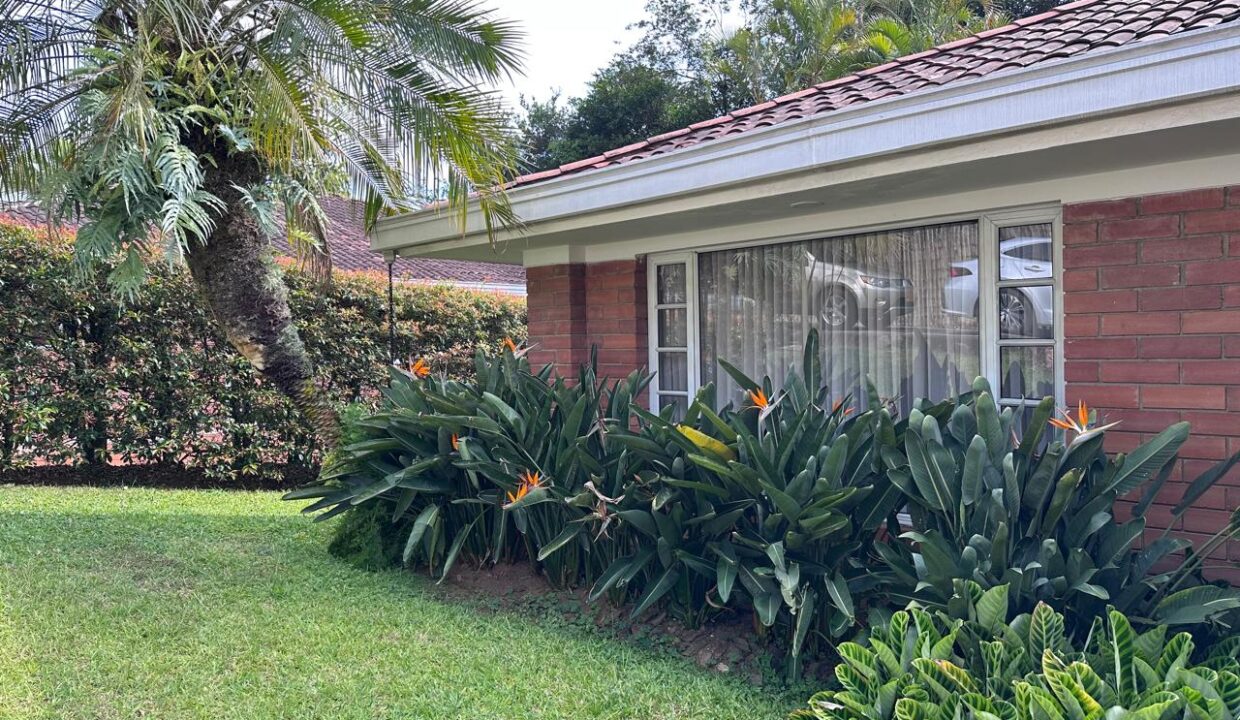 WhatsApp Image 2024-10-17 at 09.42.42