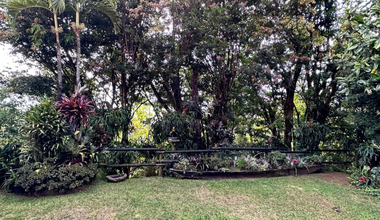 WhatsApp Image 2024-10-17 at 09.42.43