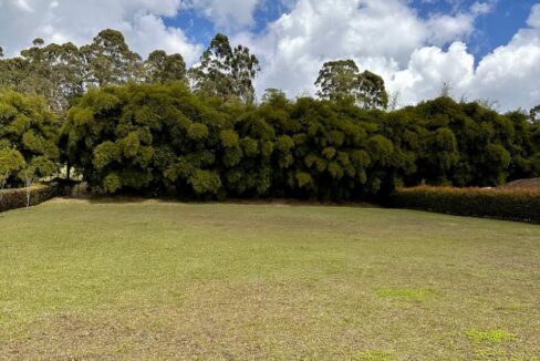 WhatsApp Image 2025-04-14 at 13.07.48 (1)