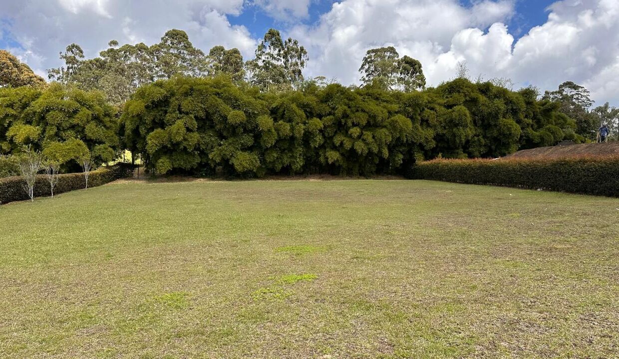 WhatsApp Image 2025-04-14 at 13.07.48 (2)