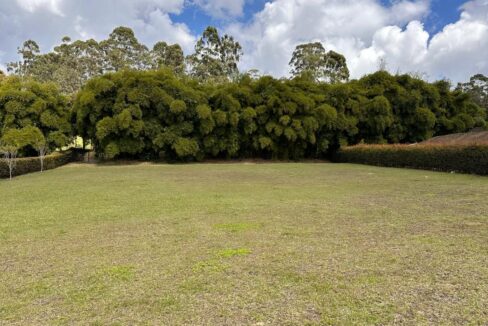 WhatsApp Image 2025-04-14 at 13.07.48 (2)