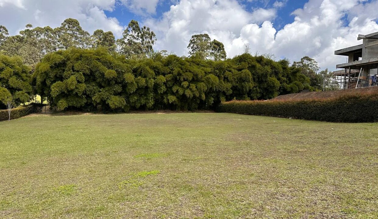 WhatsApp Image 2025-04-14 at 13.07.48 (3)