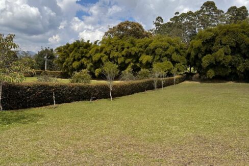 WhatsApp Image 2025-04-14 at 13.07.48