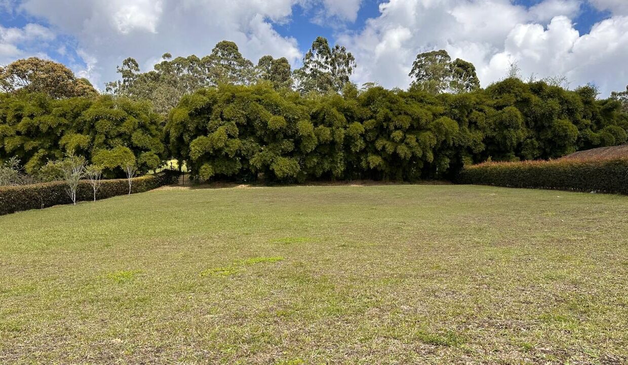 WhatsApp Image 2025-04-14 at 13.07.48 (5)