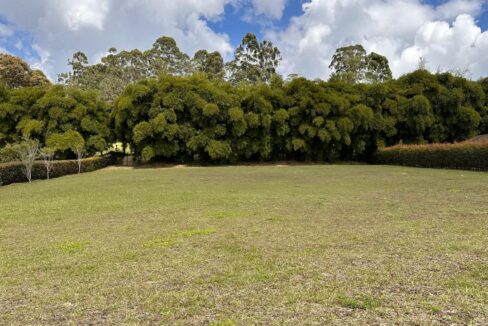 WhatsApp Image 2025-04-14 at 13.07.48 (5)