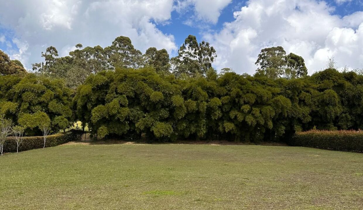 WhatsApp Image 2025-04-14 at 13.07.48 (6)