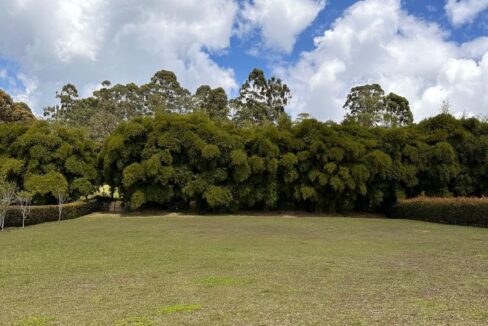 WhatsApp Image 2025-04-14 at 13.07.48 (6)