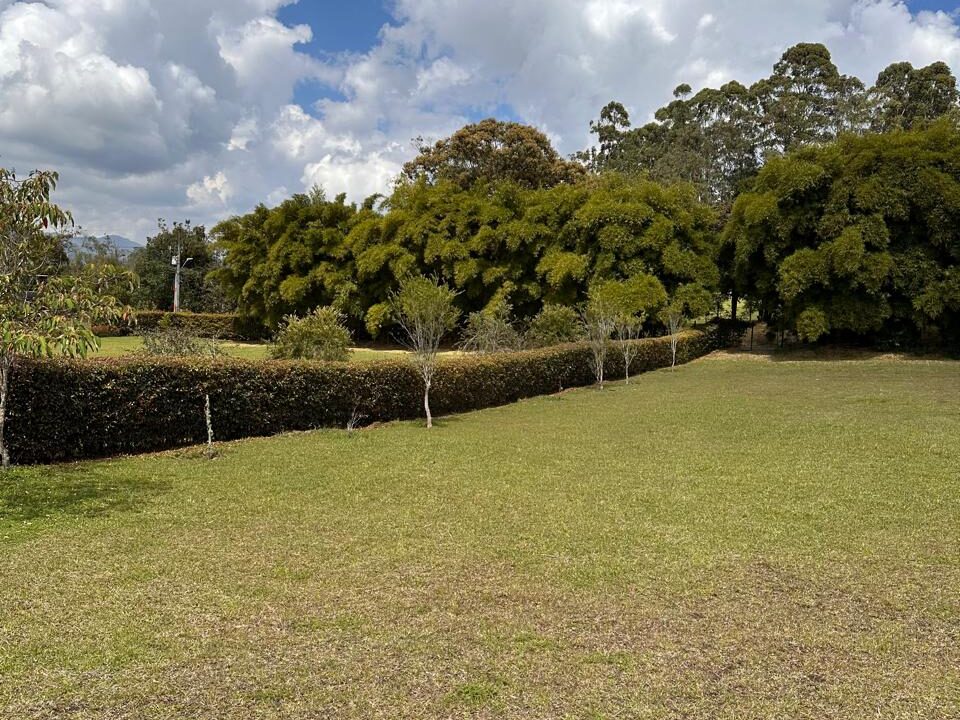 WhatsApp Image 2025-04-14 at 13.07.48