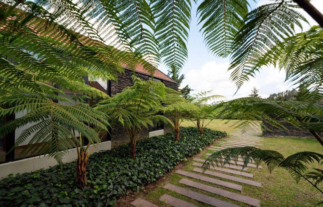 WhatsApp Image 2025-04-14 at 13.37.37 (2)