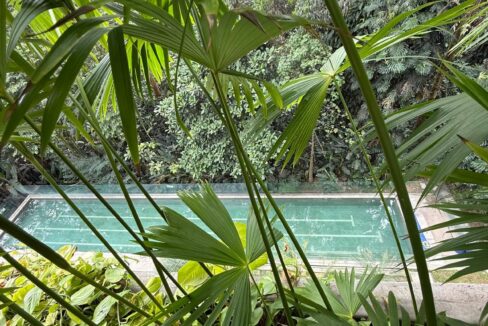 WhatsApp Image 2025-04-14 at 19.02.06 (6)