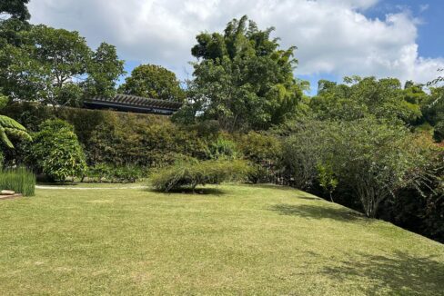 WhatsApp Image 2025-04-15 at 13.52.03